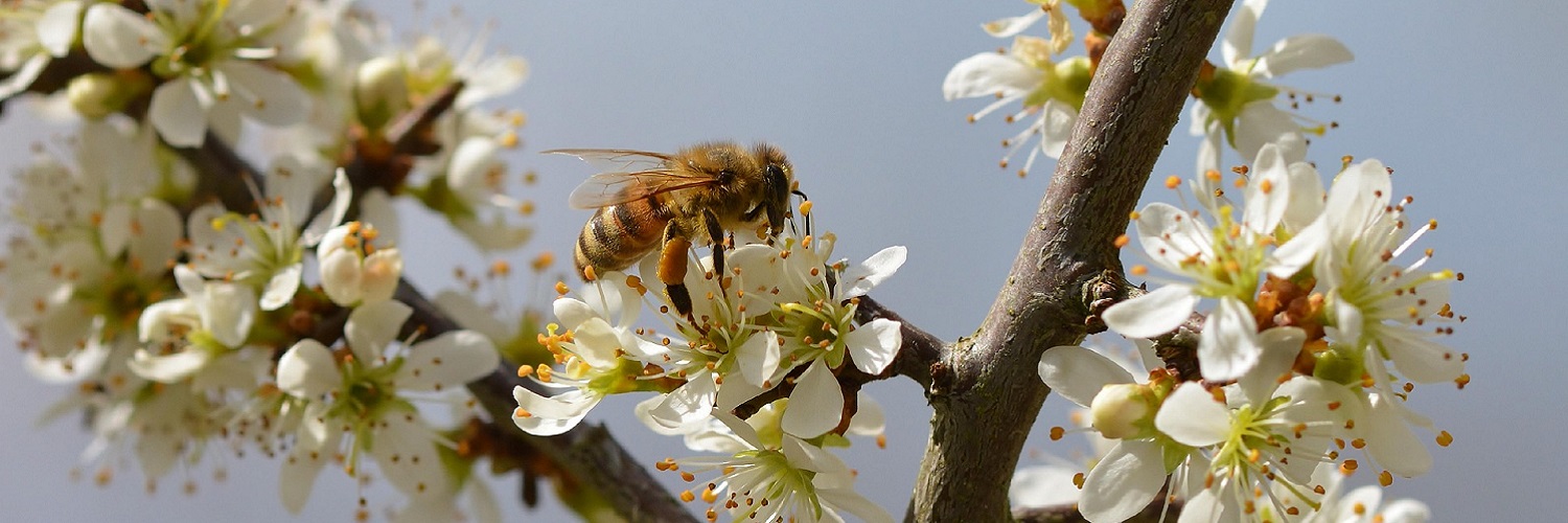 News und Inspiration für den Frühling aus D-A-CH und Südtirol